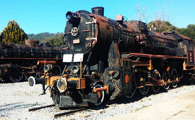 Avrupa'nın En Büyük Açık Hava Tren Müzesi Büyük İlgi Görüyor