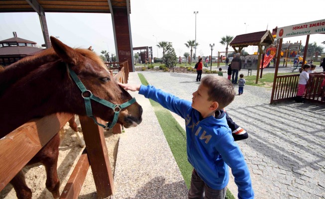 Şehir Merkezinde Hayvanat Bahçesi Keyfi