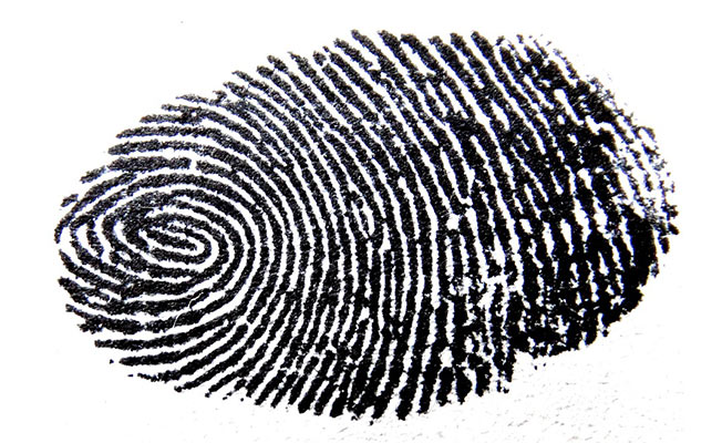 Parmak İzi Tarayıcılar Güvenli mi?