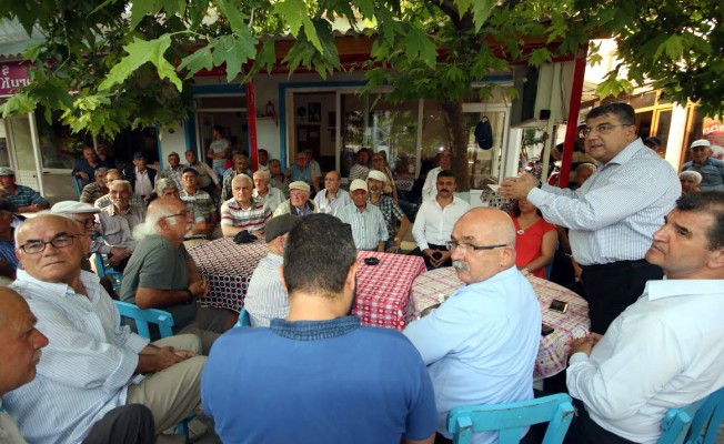 CHP'li Sındır: Zeytin Üreticileri Tek Yürek Olmalı