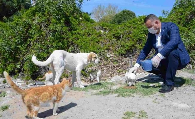 Can Dostlara Bergama'da Seferberlik