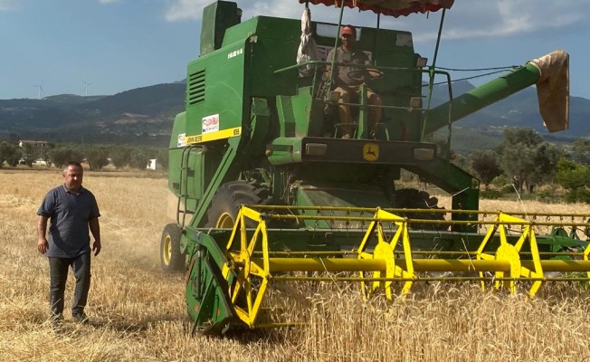 Kemalpaşa’da buğday hasadı devam ediyor