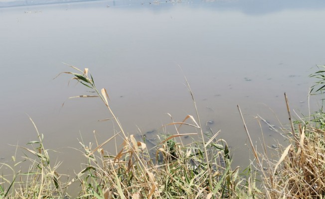 AK Parti’den Belediye Başkanı Gümrükçü’ye ‘koku’ salvosu