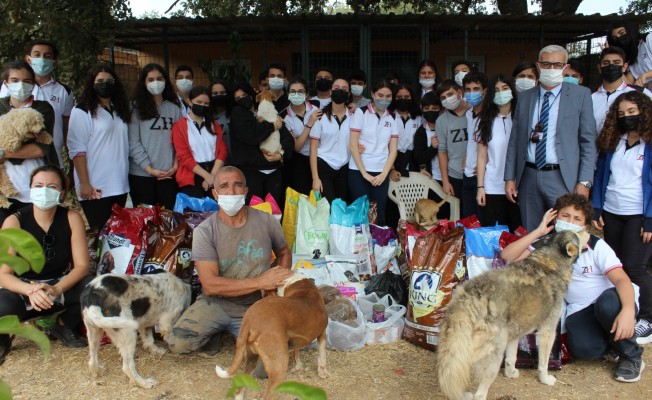 Bucalı öğrenciler can dostlar için yarım ton mama topladı