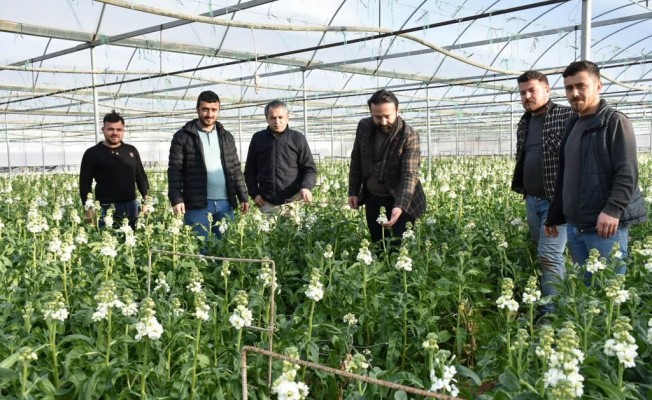 Menderes’te 14 Şubat hazırlığı tamam