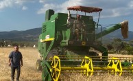 Kemalpaşa’da buğday hasadı devam ediyor